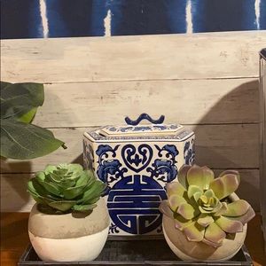 Pair of cement potted faux succulents